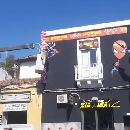 Spiderman House Pensionat 3*