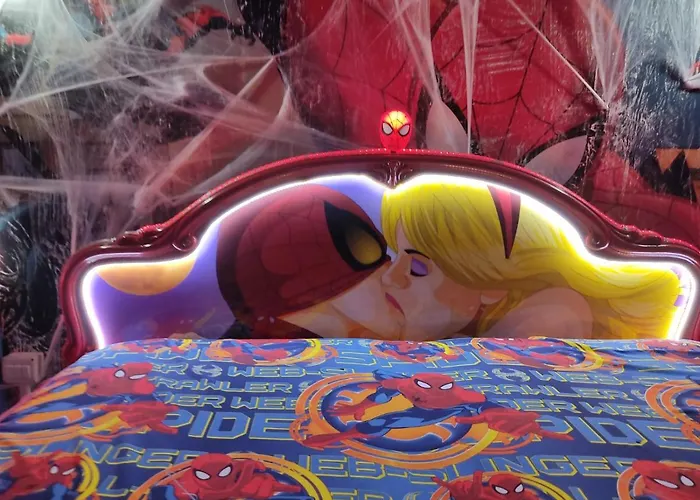 Spiderman House 招待所